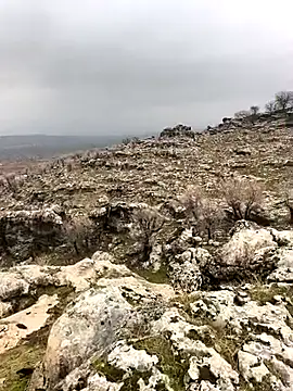 Sert erkek21 ysm online show from February 2, 10:03 am