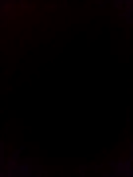 Sbhamu532 online show from November 12, 9:37 am