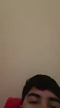 Snapshot of HarmonicOdour chatting on November 1, 12:09 pm HarmonicOdour online show from November 1, 12:09 pm