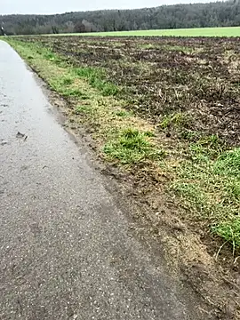 AlexGogo23 online show from February 18, 8:23 am