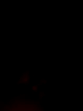 ShavenScope24 online show from December 1, 5:38 pm