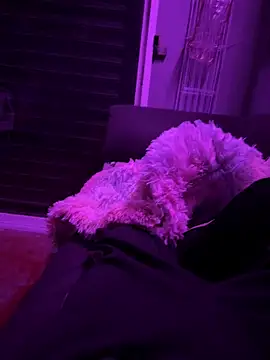 Frankiboy12 online show from November 11, 7:57 am