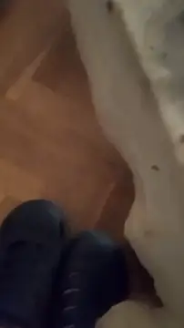 goloso80 online show from October 22, 1:04 pm