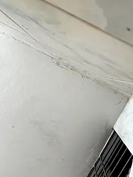 alfarabisami online show from April 24, 4:31 pm