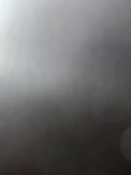 Rajkumarbhaiiii online show from November 28, 3:21 am