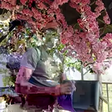 sexlocos online show from November 8, 5:05 pm