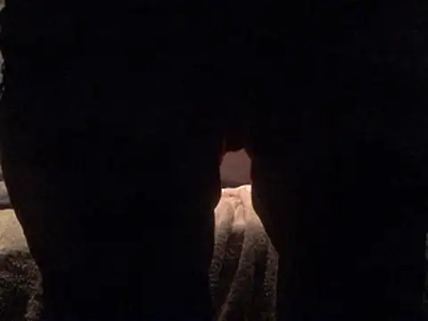 Mr Sirthedom online show from January 17, 4:37 am