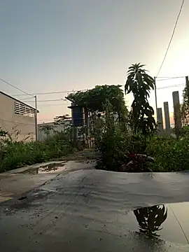 MEFUN- online show from March 10, 11:16 am