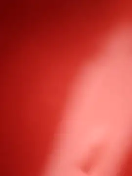 ponedordeperras online show from November 26, 4:43 pm