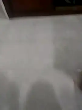 Zaginer online show from November 20, 10:30 pm