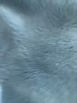 Saju  online show from December 4, 12:12 pm