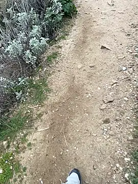 Couplebifree online show from February 25, 10:05 am