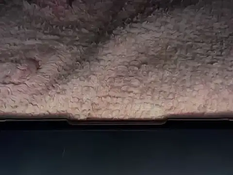 OherDav online show from February 25, 7:42 am