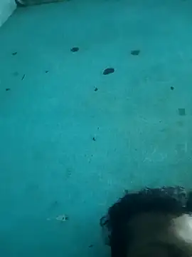 tamilansinsforu online show from April 30, 2:57 pm