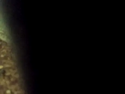 Maknithappen online show from March 17, 9:34 am