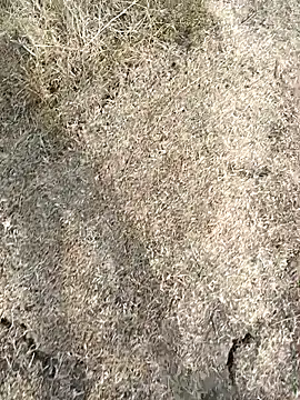 Tamilpaiyan07 online show from March 11, 10:55 am