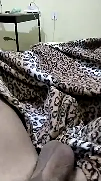 Novinhoie online show from April 21, 1:50 pm