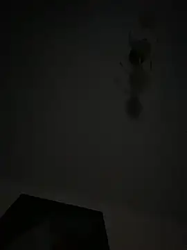 Hornyboyasf2222 online show from April 10, 9:55 pm