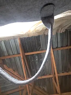 Sihle Plays online show from March 7, 11:41 am