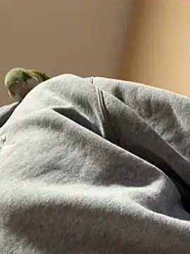 Andres56ojh online show from February 14, 11:00 pm