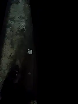 Pagelboy 089 online show from April 24, 1:30 am