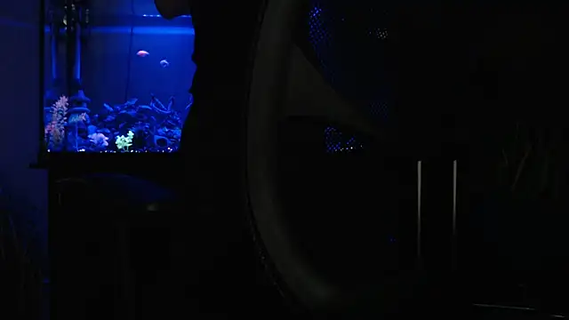 EspanolVato online show from April 18, 9:22 am