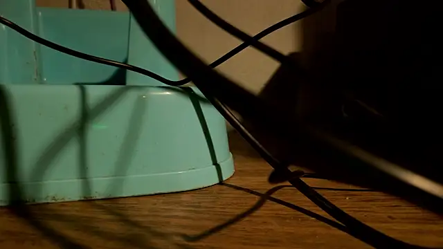 Dylann Carter online show from March 24, 11:19 pm