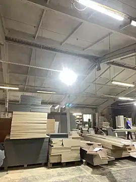 Dildogang online show from March 3, 8:00 am