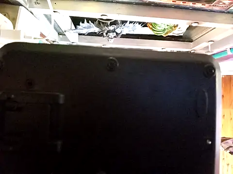 blackninja66 online show from April 12, 9:27 pm