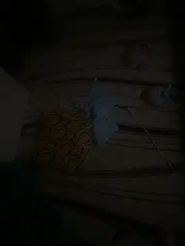 dragon ndragos online show from February 24, 10:43 pm