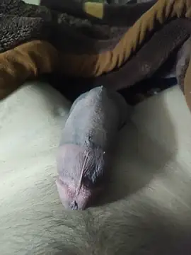 amirMohamed58 online show from March 3, 11:00 pm