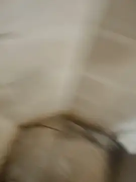 Gordinho dos pes online show from April 7, 3:17 am