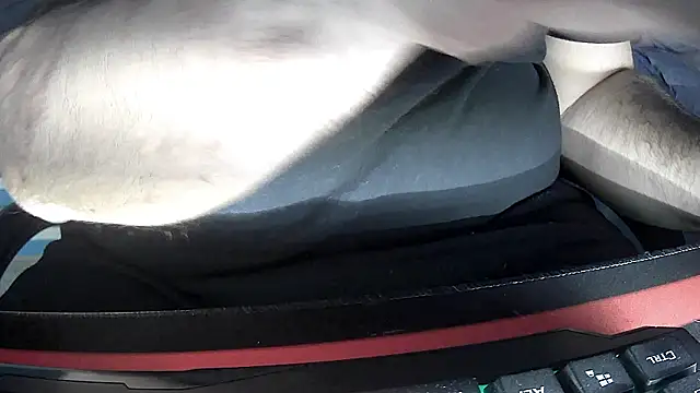 no-name15 online show from February 1, 1:04 am