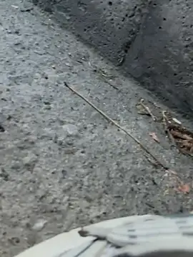 ARON LUXX online show from April 24, 10:23 pm