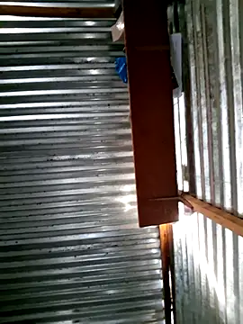 DocCock021 online show from February 7, 5:03 am