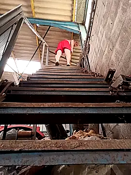 olivbisoumis online show from April 25, 11:35 am