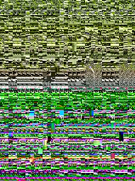 TurkeyMen online show from June 5, 5:34 am