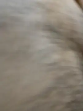 horny boy 45 online show from April 23, 4:20 pm