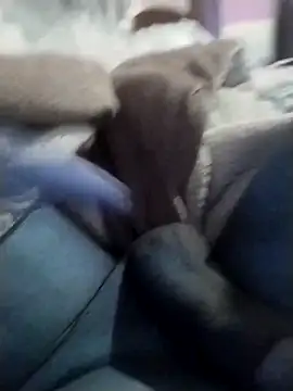 casal spzl online show from March 10, 4:13 pm