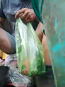 traiwe06 online show from July 19, 1:33 am