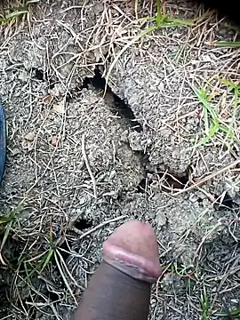 Ambala1 online show from April 24, 2:03 am