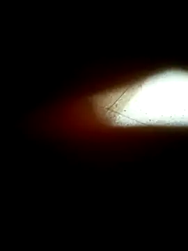 Rahul  Rnc online show from March 5, 10:22 am