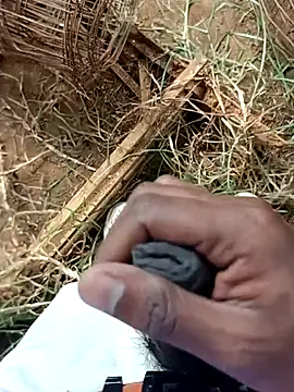 sanju 5418 online show from April 8, 9:41 am