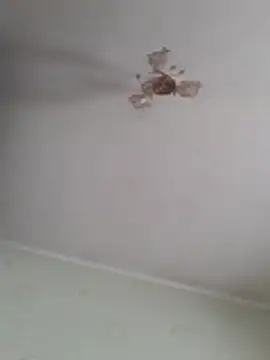 kuless online show from April 13, 1:12 pm