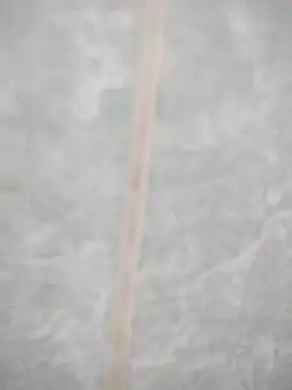 maicol6699 online show from April 19, 3:06 am