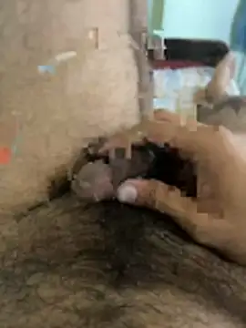 warm milk69 online show from April 19, 4:01 am