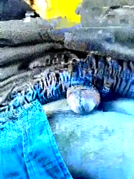 indiandeshi online show from June 24, 2:25 am