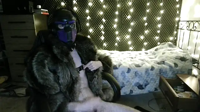 Pup Fluff online show from June 15, 7:39 pm