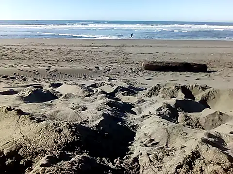 dog-naked online show from January 22, 10:28 pm