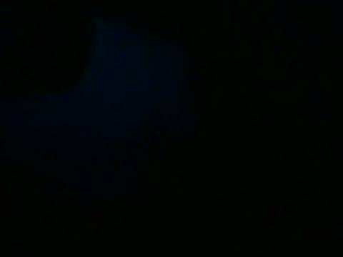 CasalNaore online show from May 27, 2:52 am